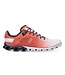 On Cloudflow Running Shoes Men's