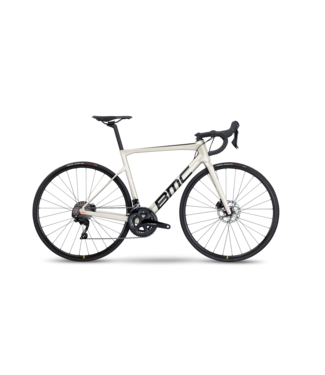 BMC Bmc Teammachine Slr Six Arctic Silver/Black 61