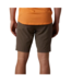 FOX RACING Fox Racing  Flexair Ascent Shorts