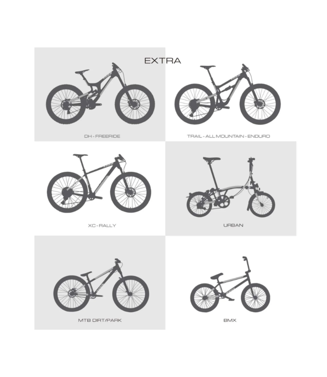 AMS Frame Guard XL Clear