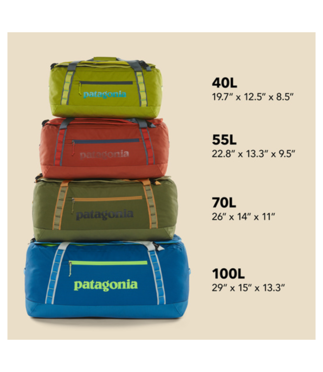 PATAGONIA Patagonia Black Hole Duffel 100L