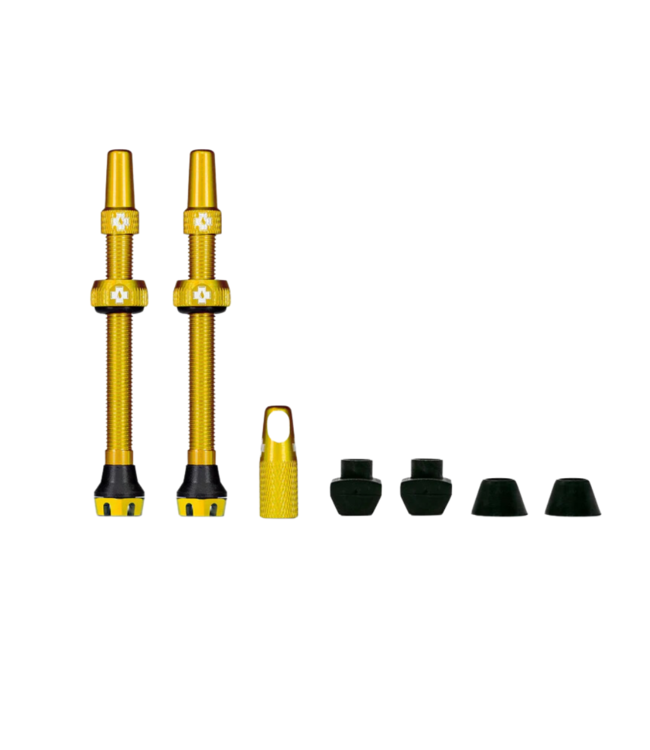 Tubeless Valves/60mm/Gold V2
