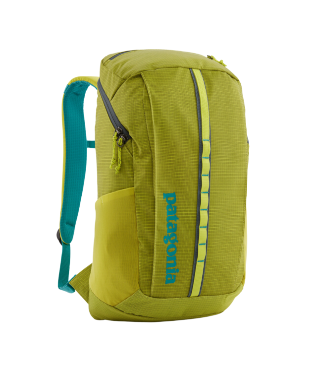 Patagonia backpack green clearance