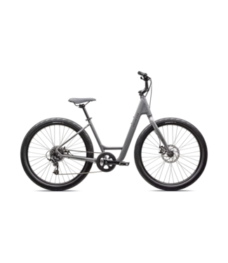 SPECIALIZED ROLL 2.0 LOW ENTRY CLGRY/SMK M