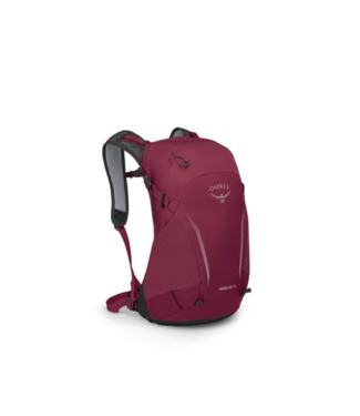 OSPREY Hikelite 18 Chameleon/Black OS