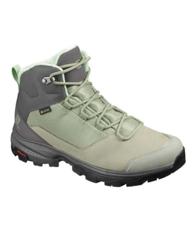 SALOMON OUTward GTX  Woeman's Shadow/Magnet/Spruce Stone 8.5