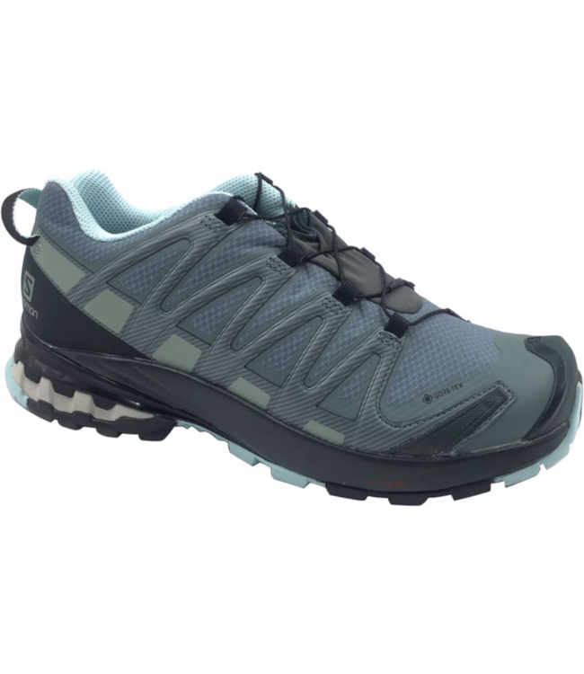 SALOMON XA Pro 3D v8 Gtx Women's