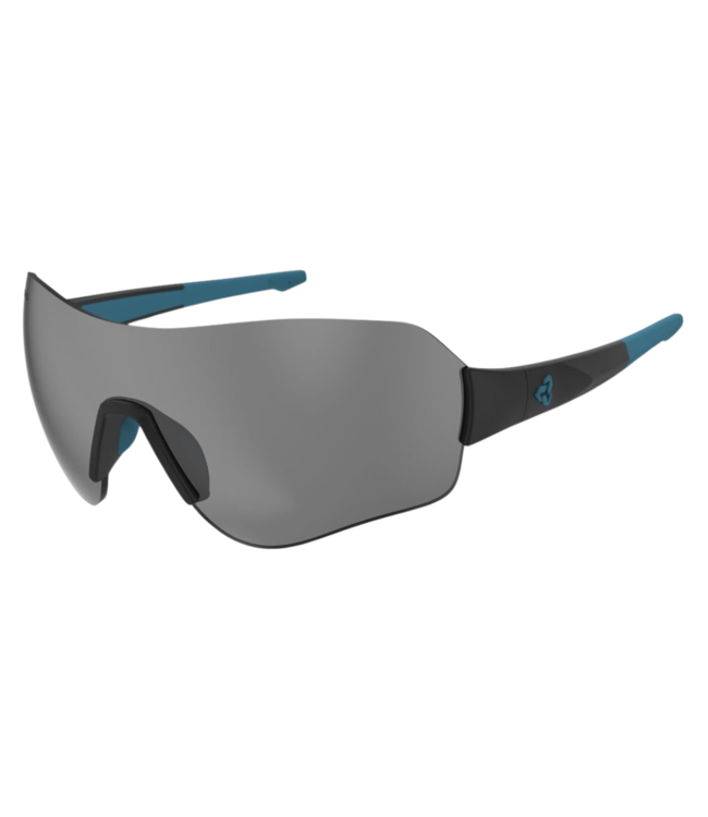 Fitz Sunglasses Matte Black/Blue - Grey Lens
