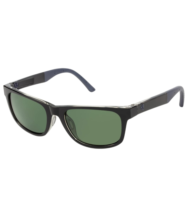 Lasso-Polarized Black