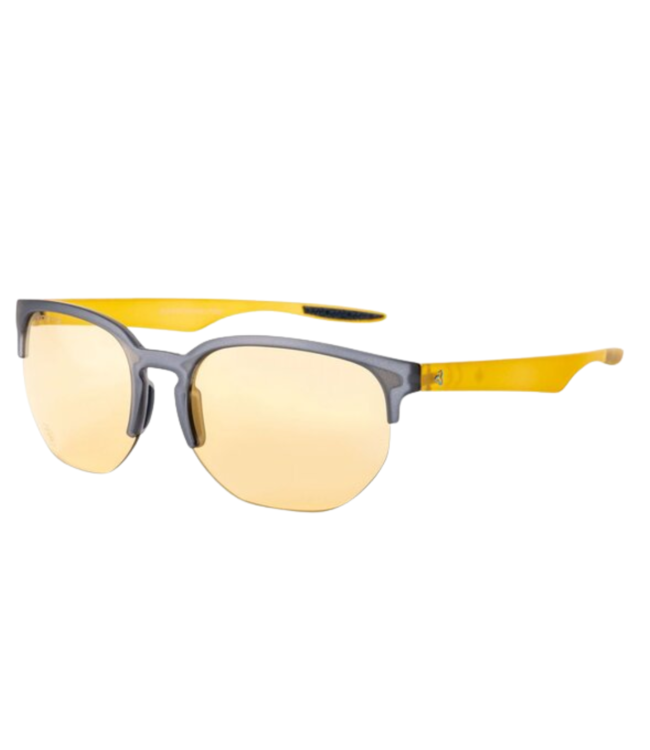 Chakra Standard Sunglasses