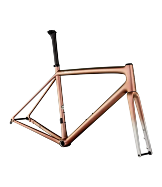 SPECIALIZED S-Works Aethos Frameset  Satin Flake Silver/Red Gold Chameleon Tint/Brushed Chrome 54