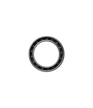 61806 (6806) 2RSL Bearing
