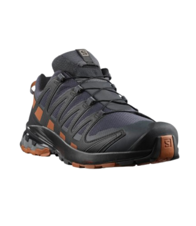 SALOMON Salomon XA Pro 3D v8 Gtx Men's
