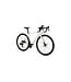SPECIALIZED Specialized Roubaix Pro  Abalone/Spectraflair/Flake Silver 56