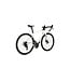 SPECIALIZED Specialized Roubaix Pro  Abalone/Spectraflair/Flake Silver 56