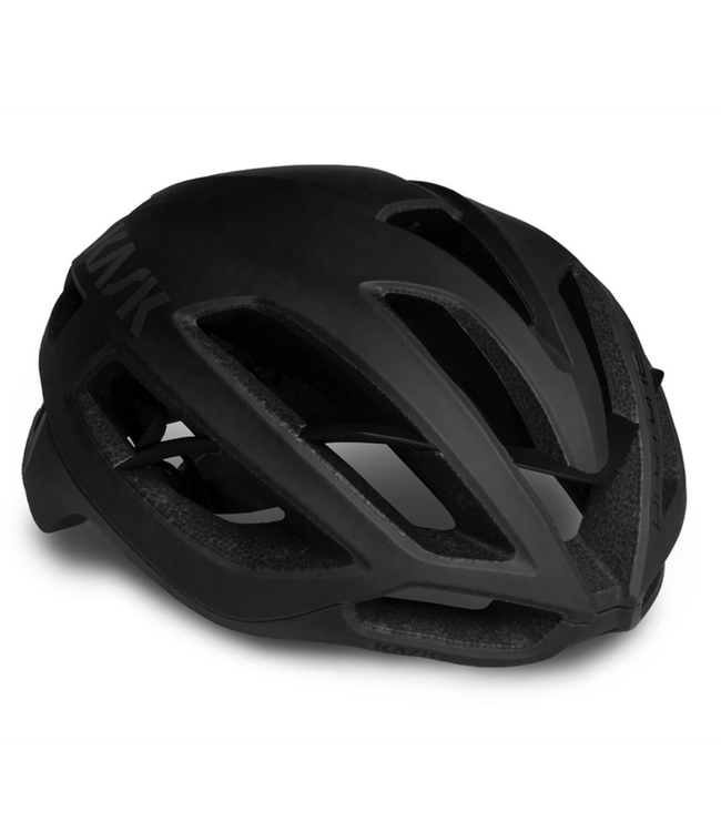 KASK Protone Icon Helmet