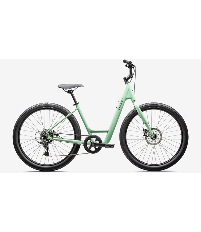 SPECIALIZED Specialized ROLL 2.0 LOW ENTRY OIS/SMK M