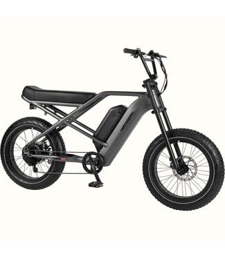 Retrospec Valen Rev Lithium Battery