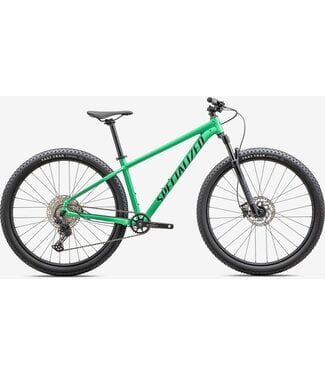 SPECIALIZED Specialized ROCKHOPPER EXPERT EGRN/DKMOS M - 29 M SPECIALIZED Specialized ROCKHOPPER EXPERT EGRN/DKMOS M - 29 M