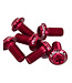 ASHIMA ALLOY TORX ROTOR BOLTS RED