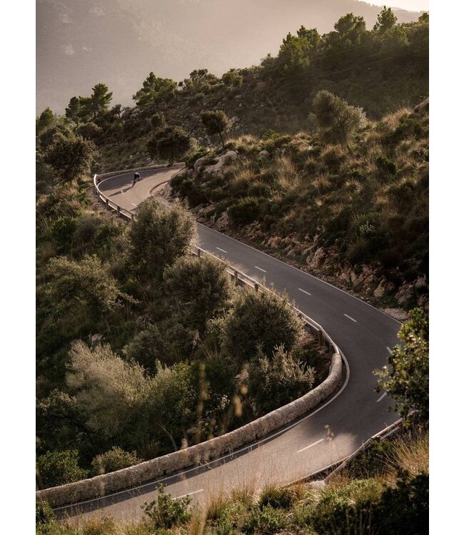 Ceramicspeed BB ALPHA for BB86 Shimano Road