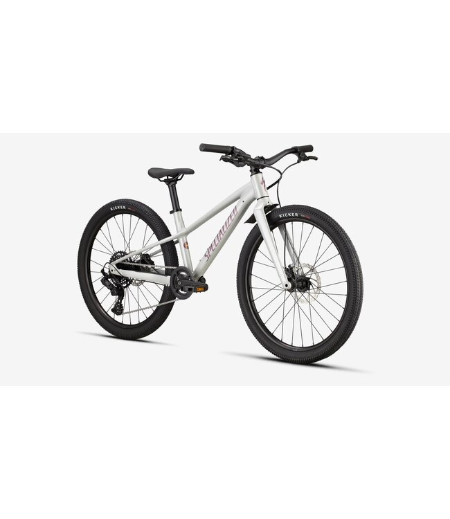 SPECIALIZED Specialized RIPROCK 24 DLMMET/QTZMET 24