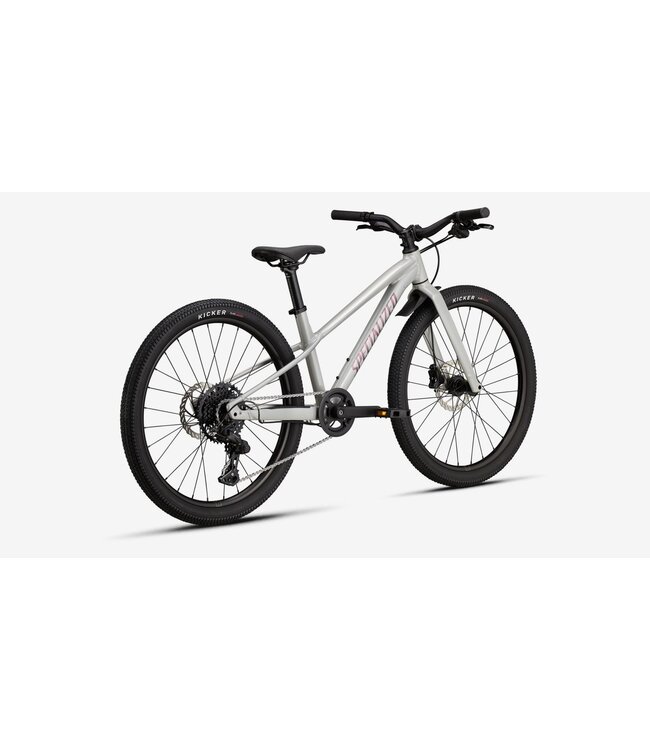 SPECIALIZED Specialized RIPROCK 24 DLMMET/QTZMET 24