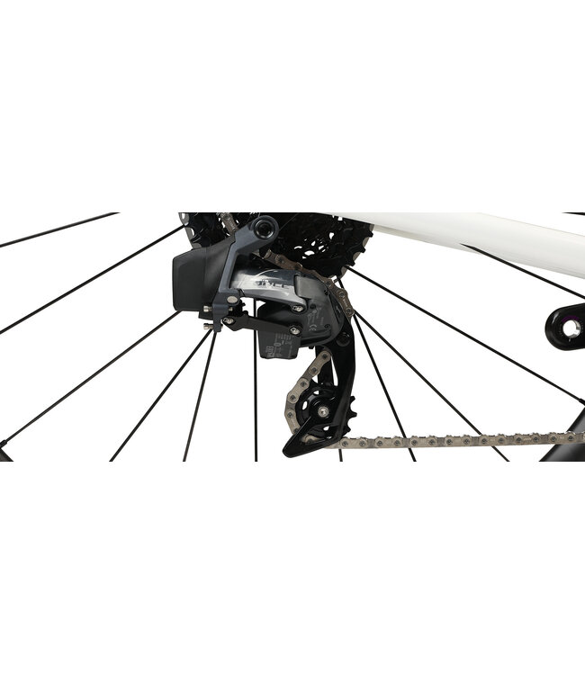 SPECIALIZED Specialized Roubaix Pro  Abalone/Spectraflair/Flake Silver 56