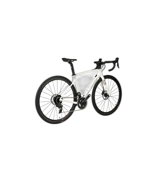 SPECIALIZED Specialized Roubaix Pro  Abalone/Spectraflair/Flake Silver 56