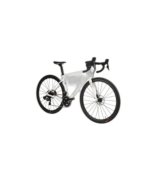 SPECIALIZED Specialized Roubaix Pro  Abalone/Spectraflair/Flake Silver 56