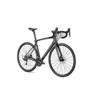 SPECIALIZED Specialized Roubaix Sport Satin Flake Silver/Black  54