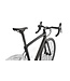 SPECIALIZED Specialized Roubaix Sport Satin Flake Silver/Black  54