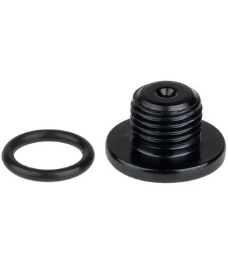 SHIMANO Shimano ST-R9270 BLEED SCREW & O-RING