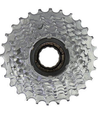 FW MULTI SUNLT 8sp 13-28 INDEX