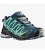 SALOMON Salomon XA Pro 3D v8 Gtx Women's
