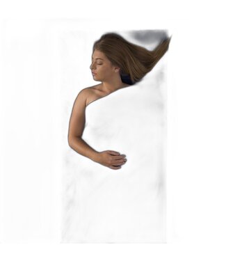 SEA TO SUMMIT Sea To Summit Expander Travel Liner Traveler with Pillow Insert Green