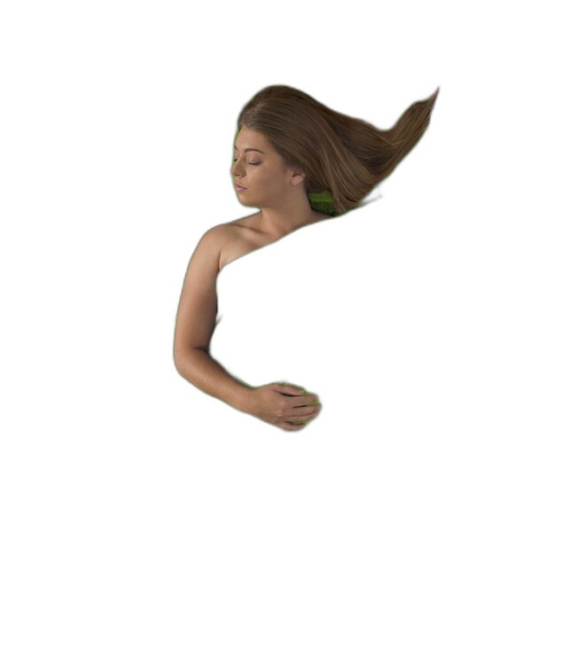 SEA TO SUMMIT Sea To Summit Expander Travel Liner Traveler with Pillow Insert Green