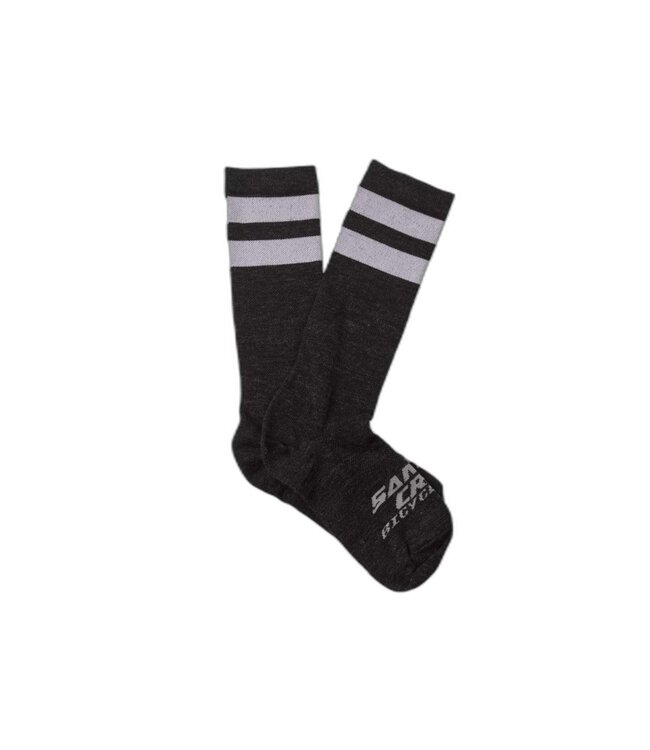 Santa Cruz Bicycles Santa Cruz Ringer Socks