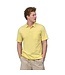 PATAGONIA M's Daily Polo Highlight: Pine Needle Green M