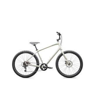 SPECIALIZED Specialized ROLL 2.0 BRCH/EGRN M