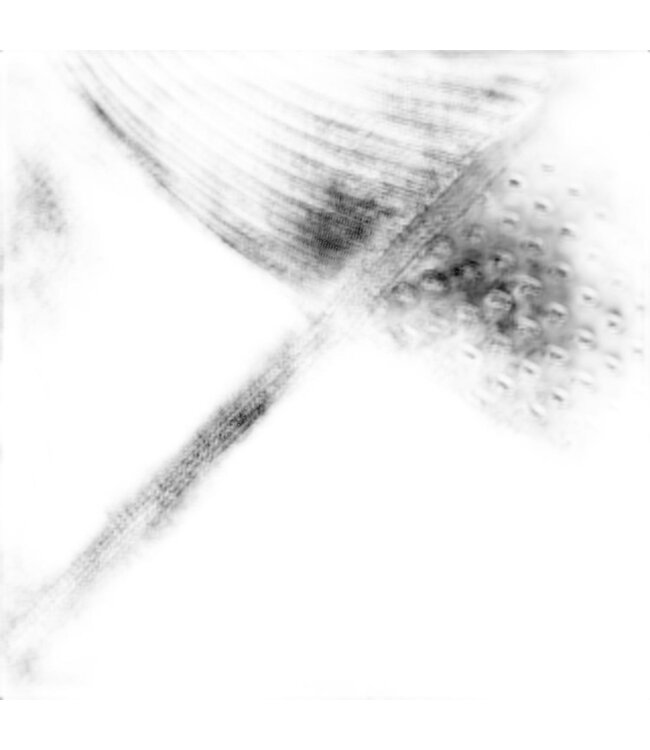 GOBIK Gobik Limited 4.1 10K Bib Men's Black Small