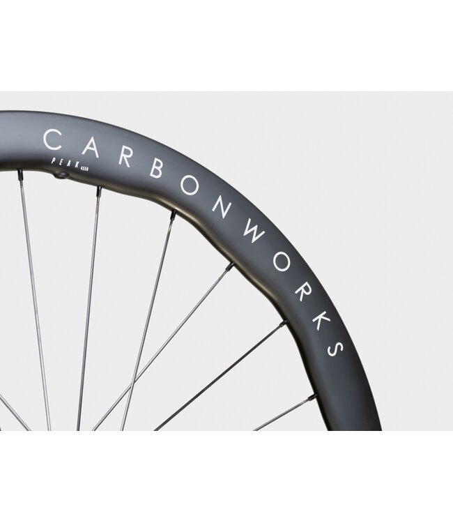 Princeton PEAK 4550 EVO Disc Brake, Black decal, White Industries CLD, Black, SHIMANO