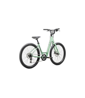 SPECIALIZED Specialized ROLL 2.0 LOW ENTRY OIS/SMK M