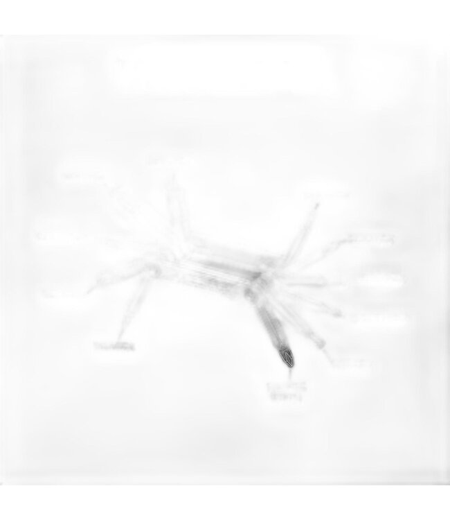 LEZYNE Lezyne V PRO 11 BLACK