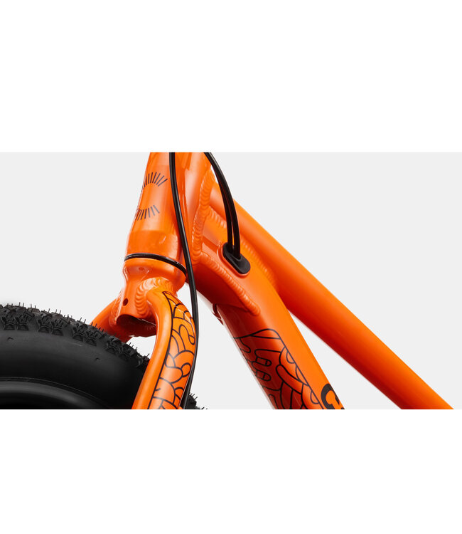 CANNONDALE Cannondale 20 U Kids Trail Plus SAL OS