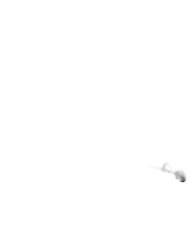 Bikase Bungee Cargo Net