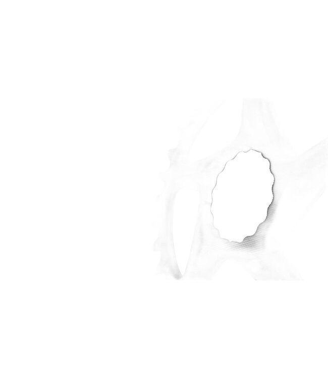 Race Face Narrow Wide Cinch Shimano 12Sp  Chainring