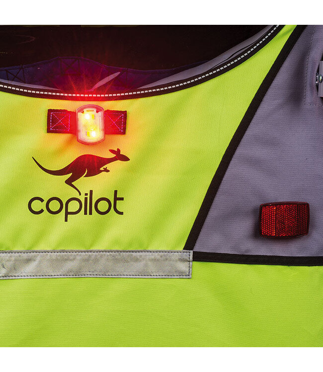 COPILOT Copilot Model A Child Bicycle Trailer & Stroller Conversion Kit