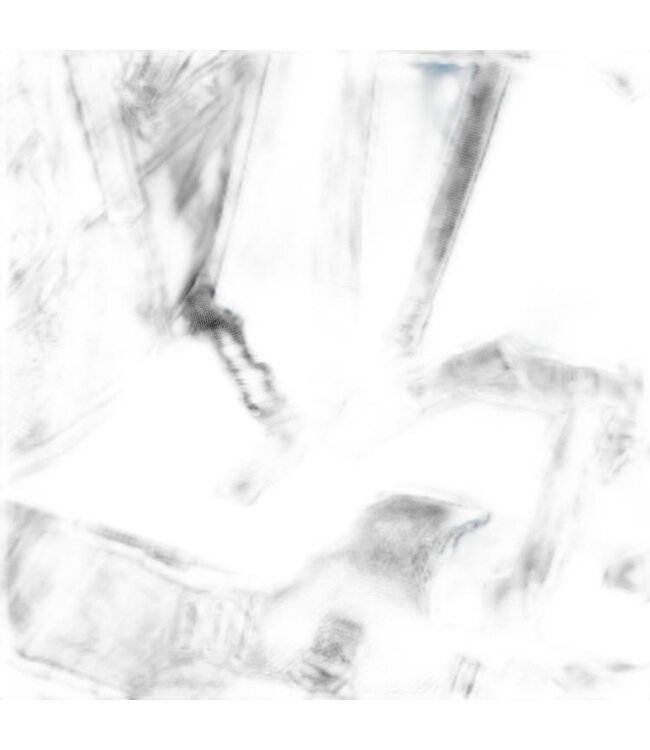 COPILOT Copilot Model A Child Bicycle Trailer & Stroller Conversion Kit