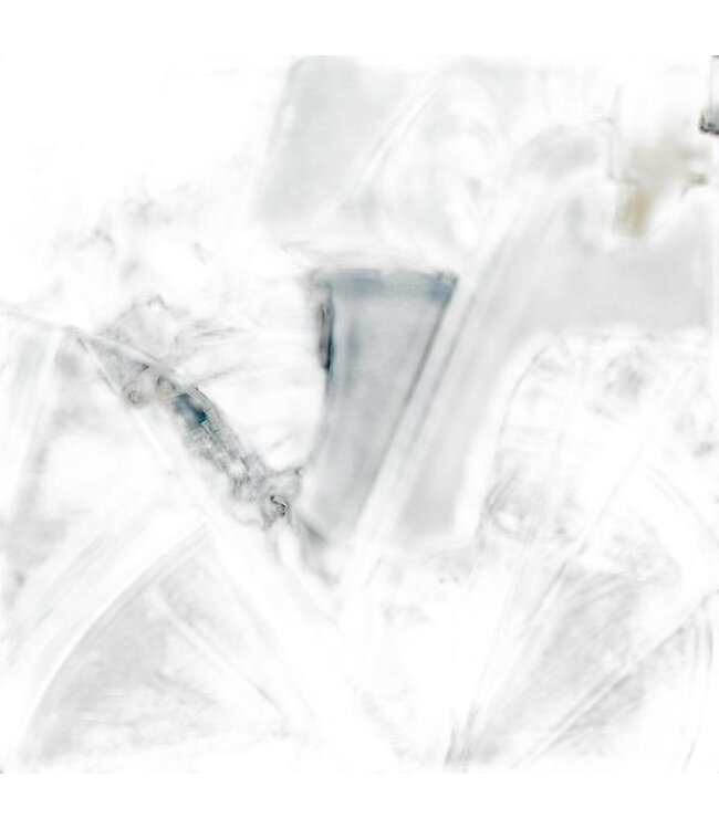 COPILOT Copilot Taxi Rear Child Seat